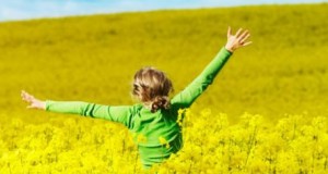En busca de la felicidad